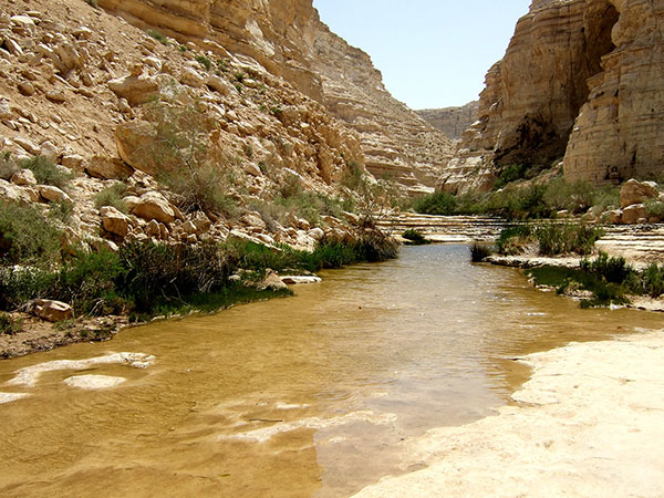 Wasserquelle in der Wüste